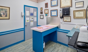 Exam room displaying the veterinary diplomas and certifications of our doctors