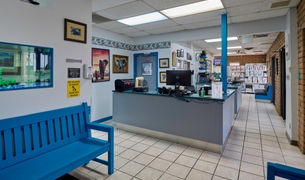 Clinic lobby with the reception desk, aquarium and waiting benches