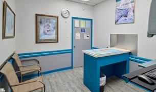 Exam room with a blue examination table and wildlife artwork