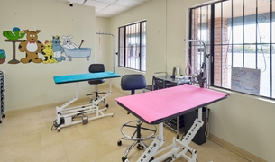 Grooming room with pink and teal grooming tables and clippers