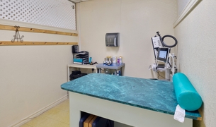 Exotic and avian exam room with a green exam table and imaging cart