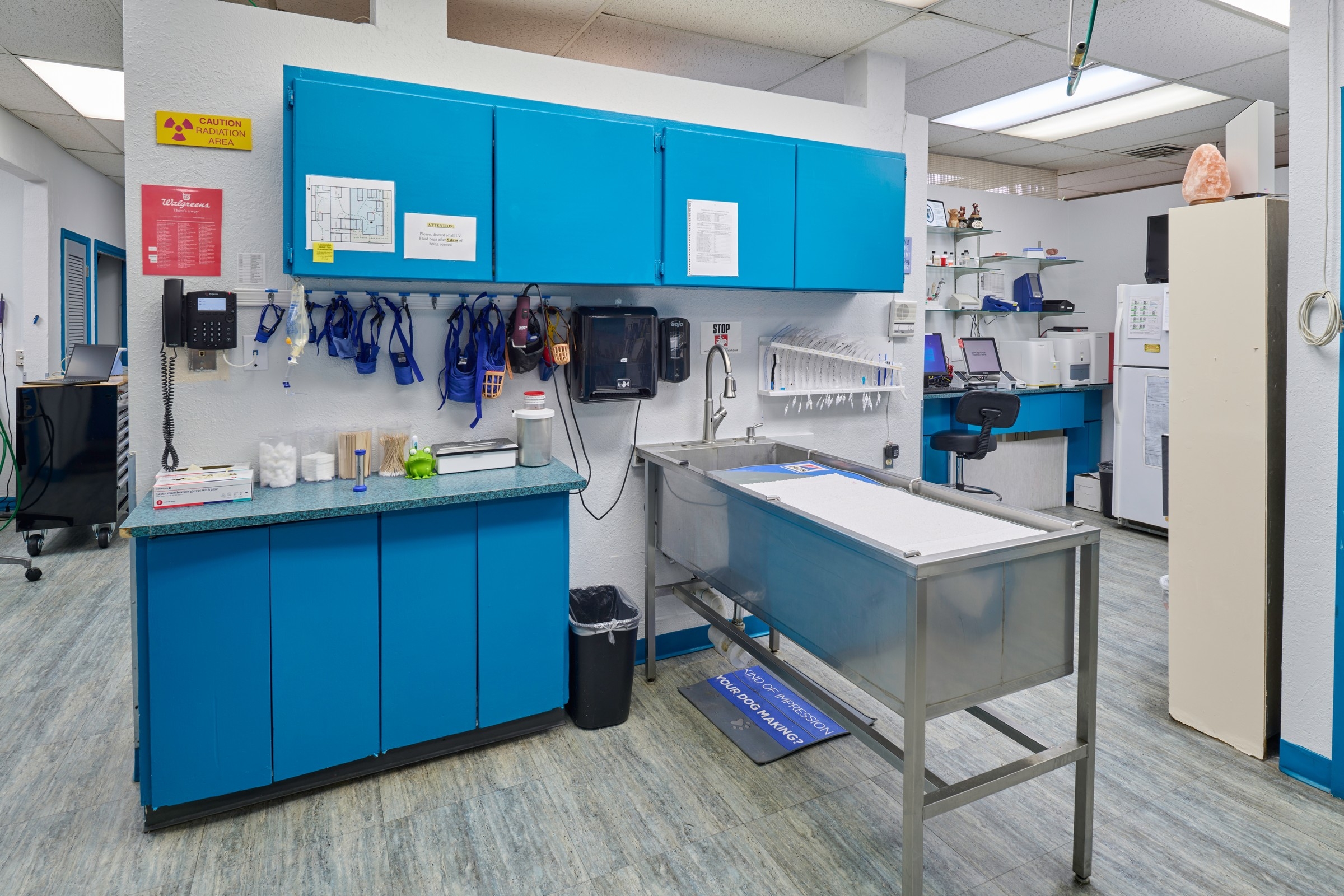 pink and blue animal patient table