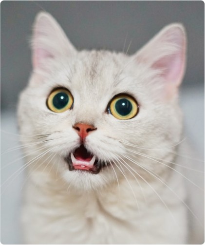 doctor on green outfit