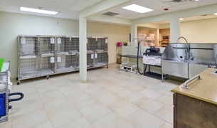 Boarding suite with stainless steel kennels and a stainless steel grooming bath