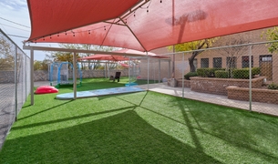 Shaded outdoor turf play yard with a trampoline and string lights