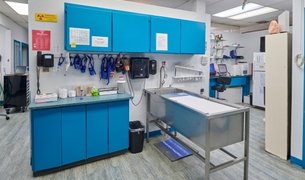 Treatment area with a stainless steel wet table and supply cabinets
